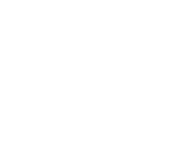 Logo All In Panel